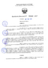Vista preliminar de documento RD 1318-2025 NX