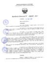 Vista preliminar de documento RD 1319-2025 NX