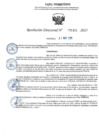 Vista preliminar de documento RD 1321-2025 NX