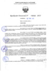 Vista preliminar de documento RD 1333-2025 NX