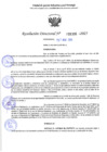 Vista preliminar de documento RD 1336-2025 NX