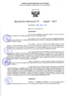 Vista preliminar de documento RD 1337-2025 NX