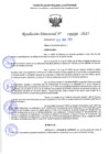 Vista preliminar de documento RD 1338-2025 NX