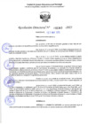Vista preliminar de documento RD 1343-2025 NX