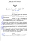Vista preliminar de documento RD 1345-2025 NX