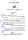 Vista preliminar de documento RD 1366-2025 NX