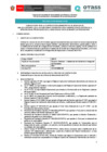 Vista preliminar de documento 01. Bases CAS N° 065-2025
