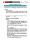 Vista preliminar de documento 01. Bases CAS N° 066-2025