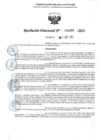 Vista preliminar de documento RD 1390-2025 NX