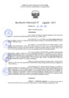 Vista preliminar de documento RD 1393-2025 NX