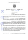 Vista preliminar de documento RD 1401-2025 NX