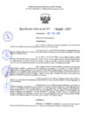 Vista preliminar de documento RD 1402-2025 NX