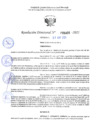 Vista preliminar de documento RD 1406-2025 NX