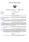 Vista preliminar de documento RD 1409-2025 NX
