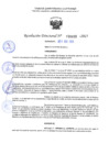 Vista preliminar de documento RD 1410-2025 NX