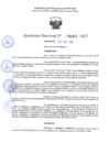 Vista preliminar de documento RD 1411-2025 NX