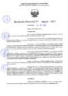 Vista preliminar de documento RD 1419-2025 NX