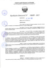 Vista preliminar de documento RD 1428-2025 NX