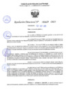 Vista preliminar de documento RD 1429-2025 NX