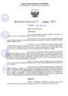 Vista preliminar de documento RD 1431-2025 NX