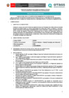 Vista preliminar de documento 01. Bases CAS N° 073-2025
