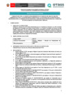 Vista preliminar de documento 01. Bases CAS N° 074-2025