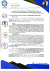 Vista preliminar de documento ORDENANZA MUNICIPAL N°003-2025-CM-MDP-A