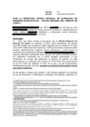 Vista preliminar de documento Denuncia informativa N.°025