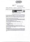 Vista preliminar de documento Denuncia informativa N.°031