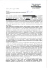 Vista preliminar de documento Denuncia informativa N.°037