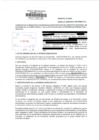 Vista preliminar de documento Denuncia informativa N.°042