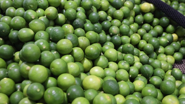 MIDAGRI