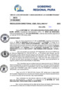 Vista preliminar de documento Resolucion Directoral N° 003195-2025