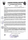 Vista preliminar de documento RESOLUCION N°363