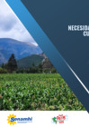 Vista preliminar de documento monitoreo_WRSI_2may25