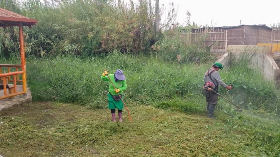 personal podando las áreas verdes