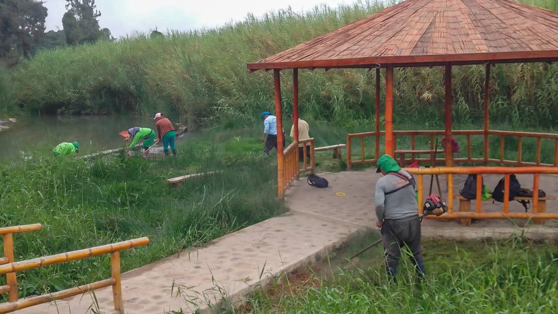 personal trabajando