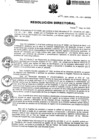 Vista preliminar de documento Resolución Directoral N°154-DRSL-RL-HH-SBS/DE