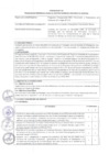 Vista preliminar de documento TDR
