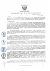 Vista preliminar de documento rd96