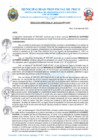 Vista preliminar de documento R.D. Nº 153-2025-MPP-OGAF