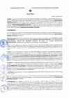 Vista preliminar de documento 0504 - 2025