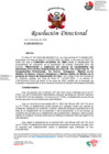 Vista preliminar de documento RD N°493-2025