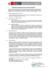 Vista preliminar de documento TDR