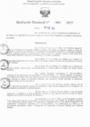 Vista preliminar de documento RD N° 869-2025