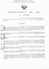 Vista preliminar de documento RD N° 875-2025