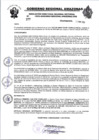 Vista preliminar de documento RESOLUCION N°377