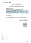 Vista preliminar de documento ACTA DE RESULTADOS DE ENTREVISTA PERSONAL