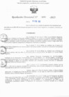 Vista preliminar de documento RD N° 876-2025