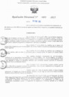 Vista preliminar de documento RD N° 877-2025